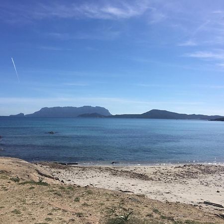 Apartmán Stella Marina Olbia Exteriér fotografie